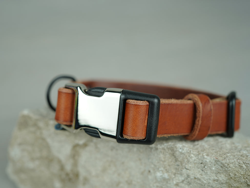 Leather dog best sale collar with clip