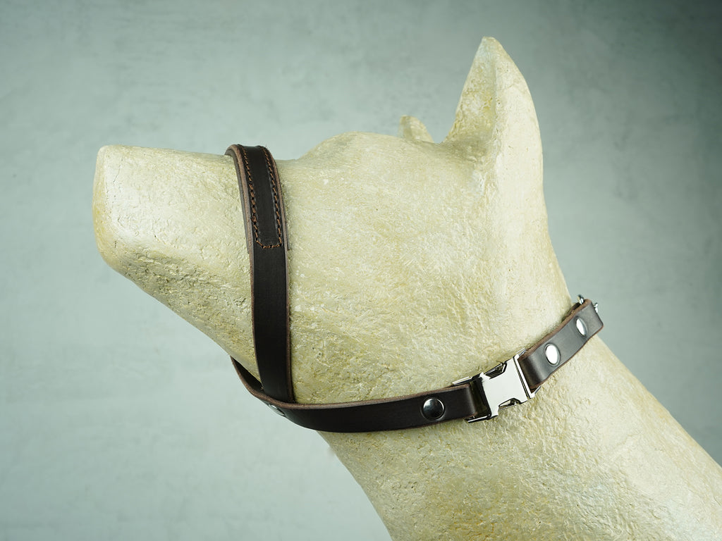 Padded Leather No Pull Martingale Dog Head Collar Yupcollars
