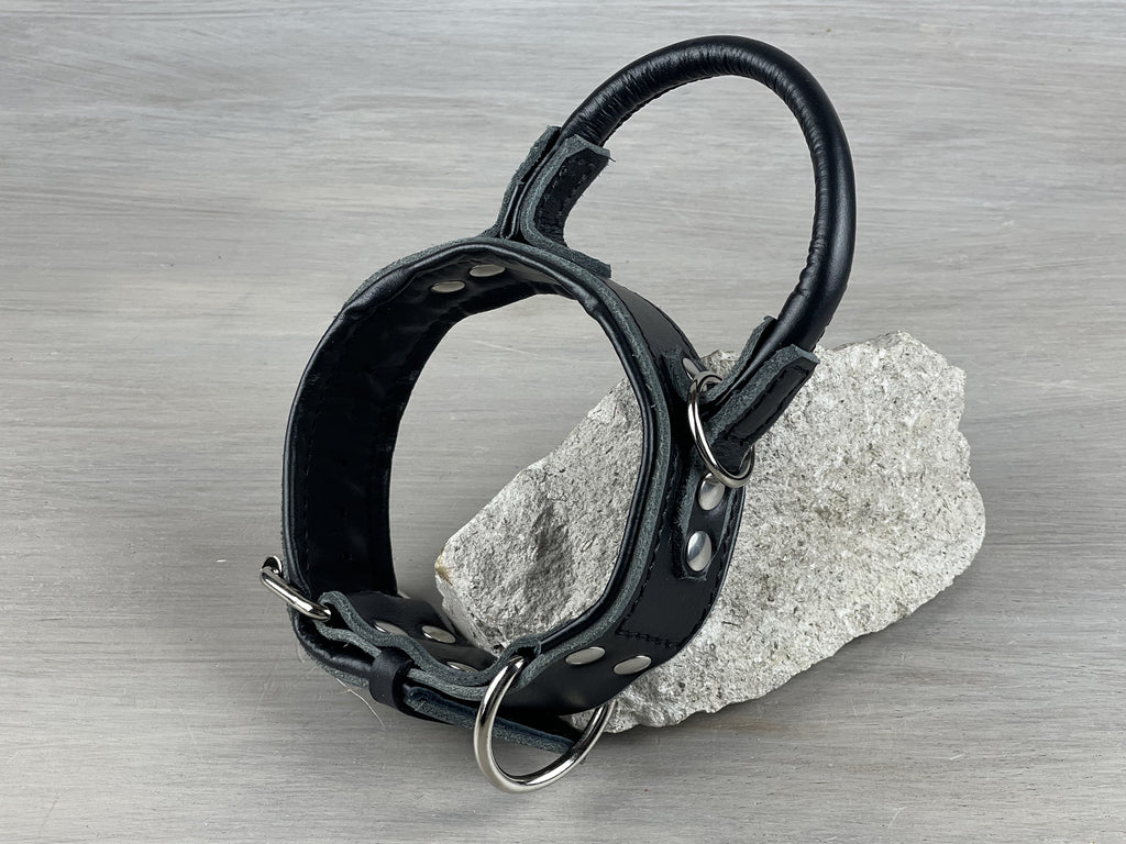 Padded Leather Dog Collar with Fixed Rolled Handle Yupcollars