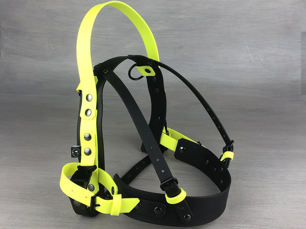 Yup service dog on sale harness