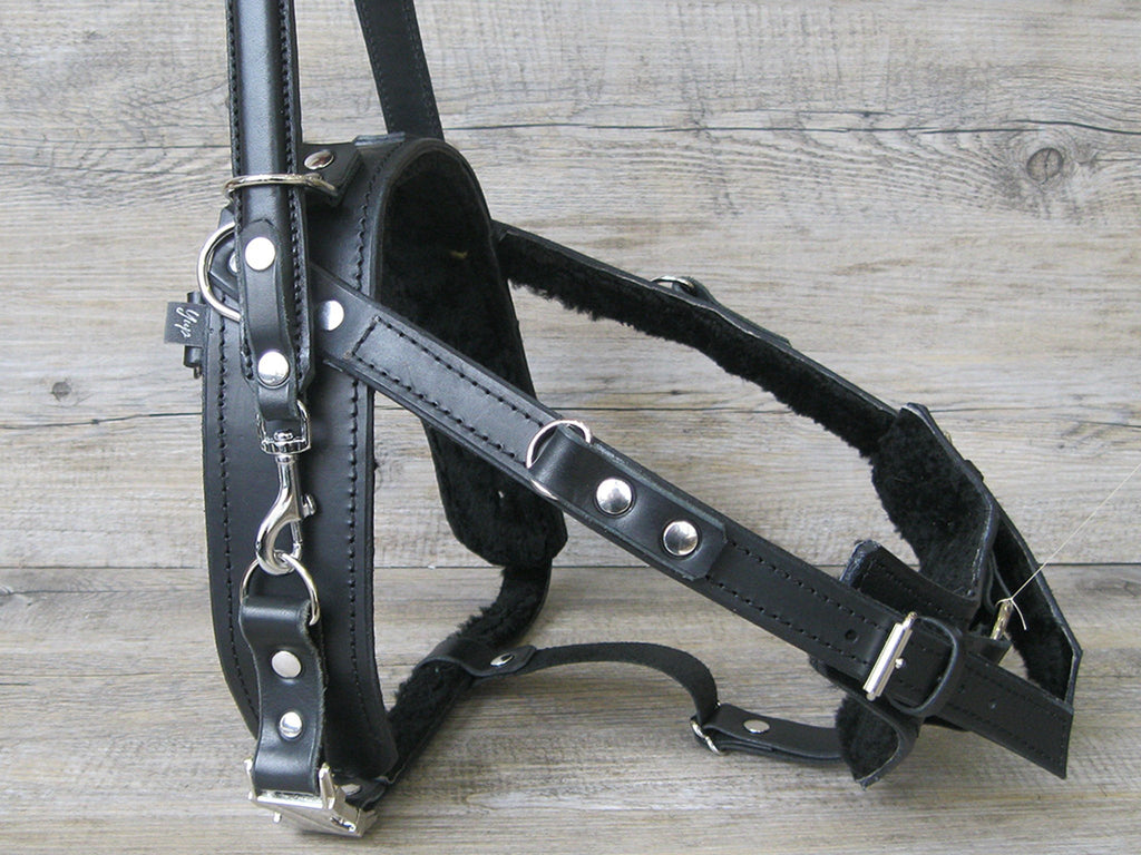 Leather Y-Front Guide Harness (Harness only) – Bridgeport K9 Equipment