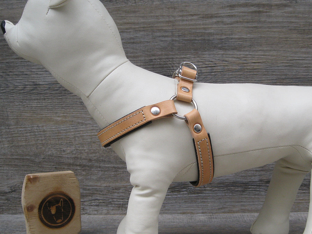 Step in hotsell dog harness