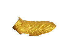 Céline – Gold Padded Dog Coat