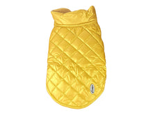 Céline – Gold Padded Dog Coat