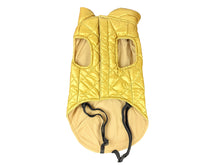 Céline – Gold Padded Dog Coat