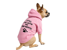 “I Still Live With My Paw-rents!” Dog Hoodie Pink – Soft and Warm