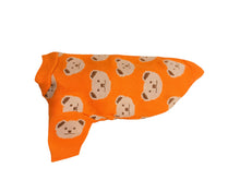 Orange Dog Sweater with Teddy Bears – Soft and Elegant