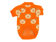Orange Dog Sweater with Teddy Bears – Soft and Elegant