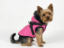 Pink Winter Dog Coat with Fur Hood and Integrated Harness