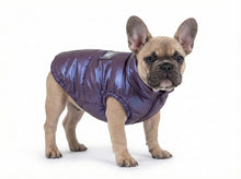 Moonwalk Violet Waterproof Dog Coat