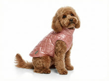 Céline – Rose Gold Padded Dog Coat