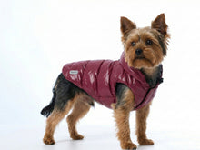 Subzero Waterproof Dog Coat – Burgundy