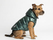 Subzero Waterproof Dog Coat