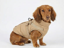 Beige Winter Dog Coat with Integrated Harness – Padded and Waterproof