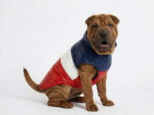 Monchien – Tricolor Padded Dog Coat