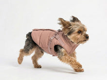 Pink Winter Dog Coat with Integrated Harness – Padded and Waterproof