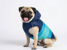 Rain Waterproof Dog Coat – Blue and Light Blue
