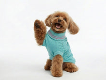 “Dolly” Dog Sweater – Light Blue in Soft Knit