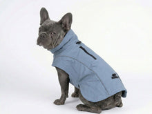 Light Blue Technical Dog Raincoat – Rainproof, Windproof, and Reflective