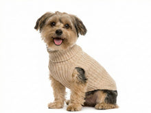 Beige Wool Knit Dog Sweater – Soft and Warm Cable Knit