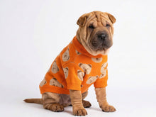 Orange Dog Sweater with Teddy Bears – Soft and Elegant