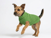 Green Wool Knit Dog Sweater – Soft and Warm Cable Knit