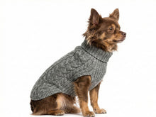 Gray Wool Knit Dog Sweater – Soft and Warm Cable Knit