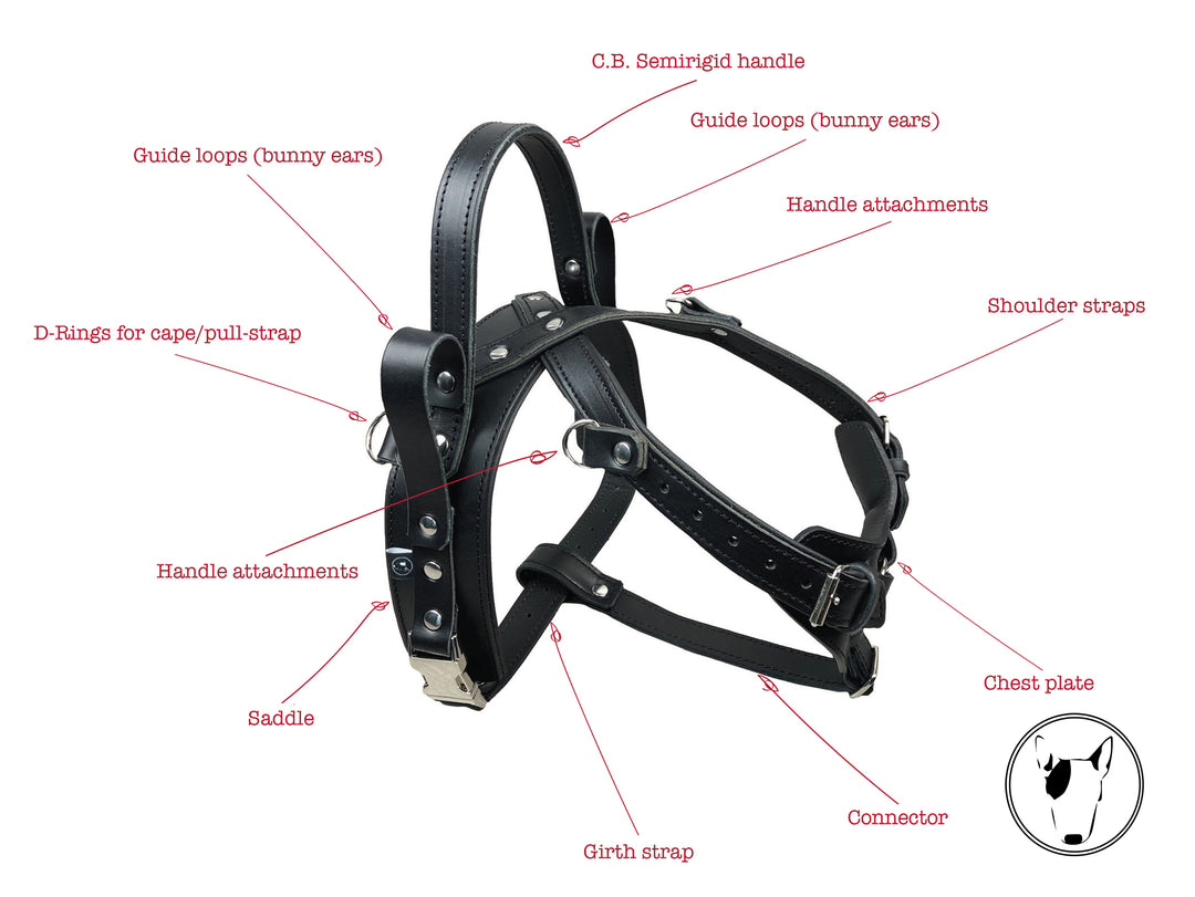 8_f1baf2ca-8b8e-4fde-b111-