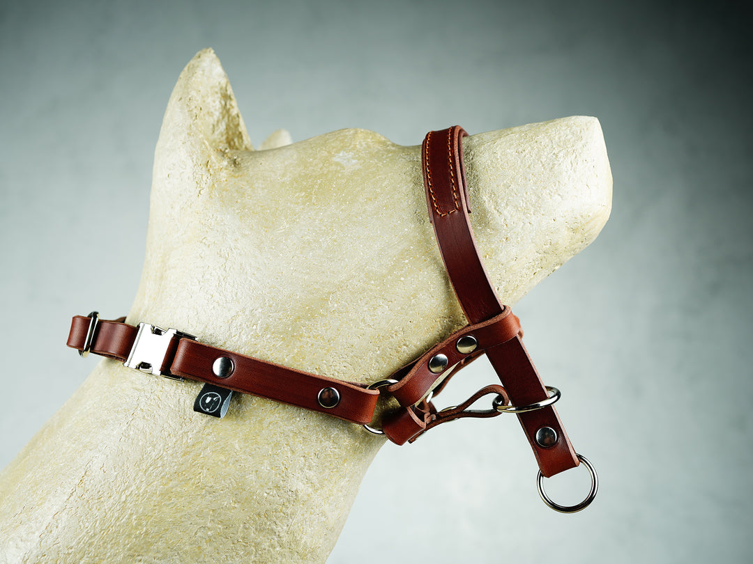 Padded Leather No Pull Dog Head Collar Yupcollars