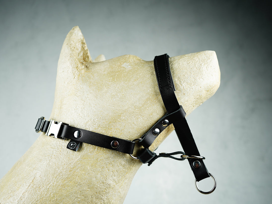 Leather dog head collar sales
