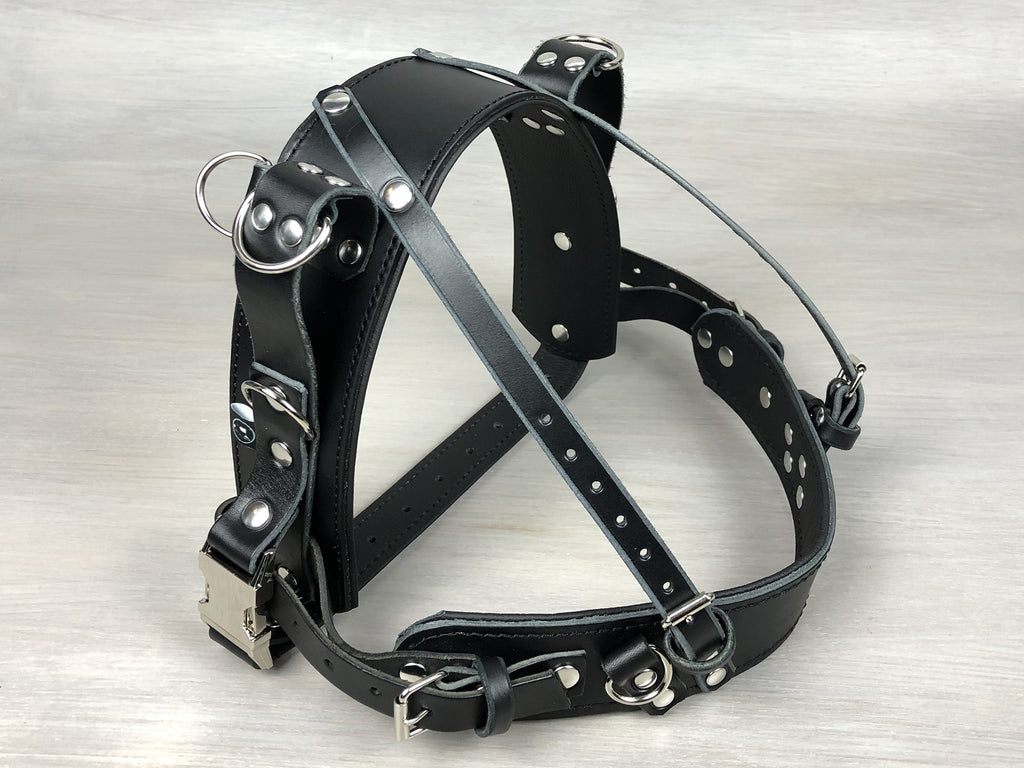 Standard Leather Guide Straight Front Dog Harness– Yupcollars