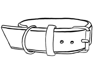 Fully Customizable Padded Leather Dog Collar