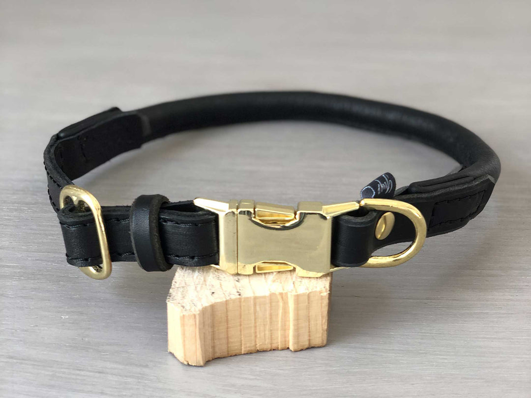 Collier Nylon Chien Classica Doogy Classic - Promotion Sellerie - Diffusion