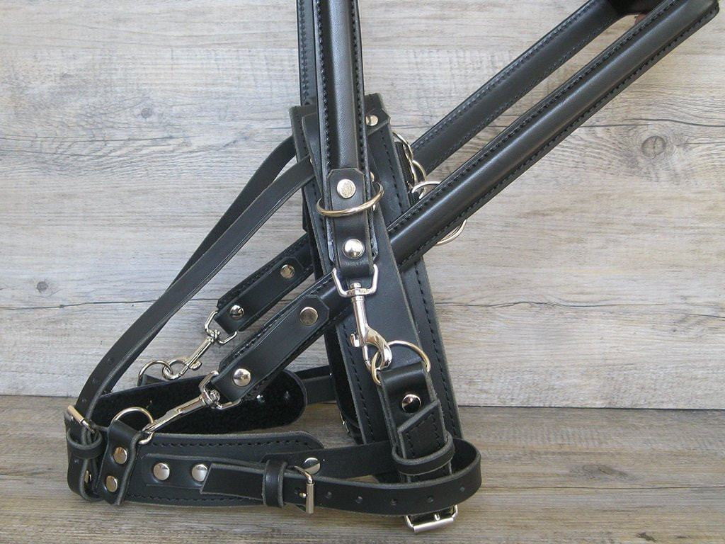 Leather Guide Straight Front Dog Harness Yupcollars