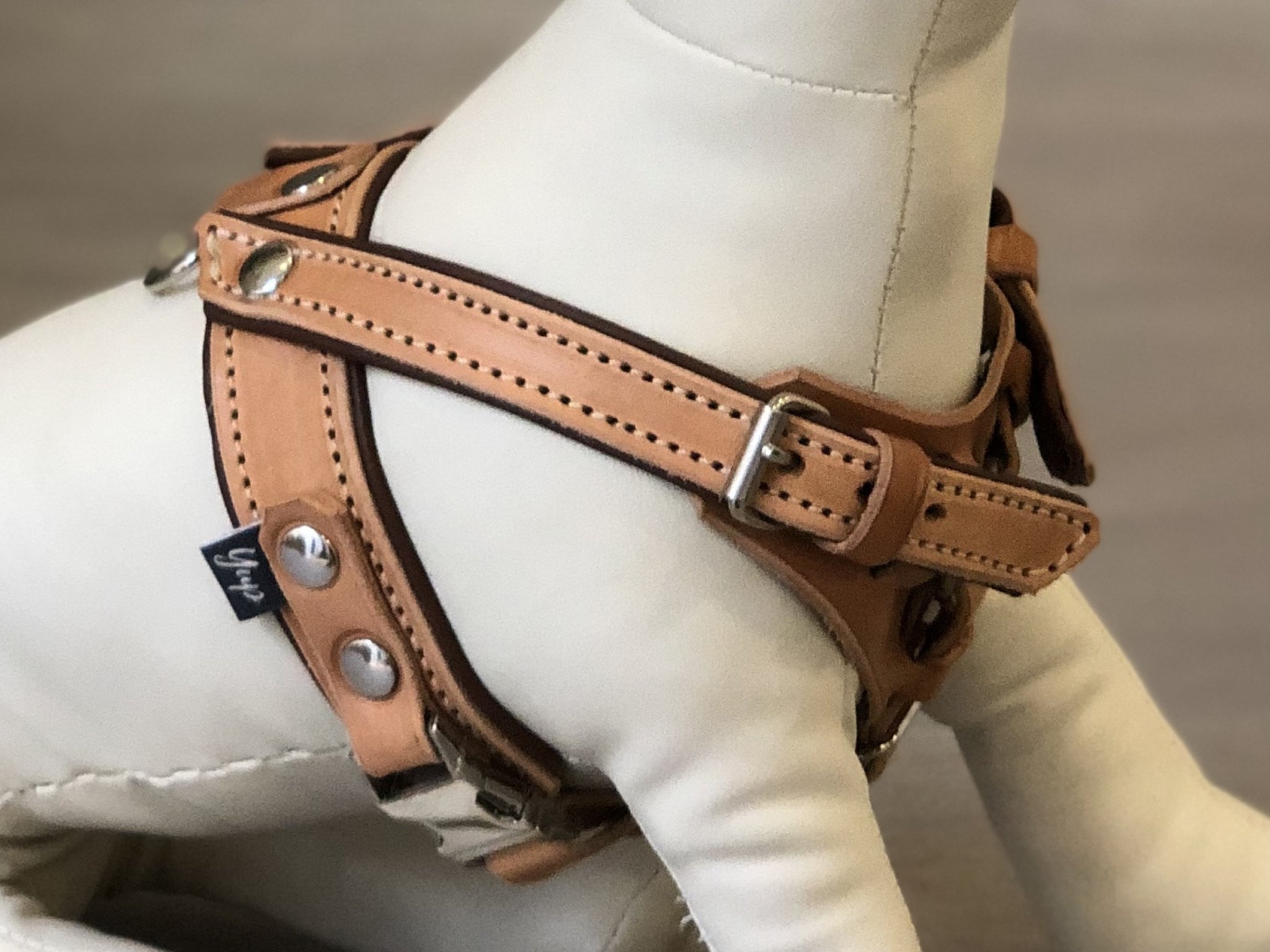 Padded Leather Y Front Dog Harness in 5 Colors Ideal for All Sizes