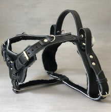 Front fix dog outlet harness