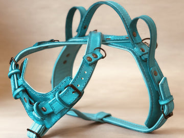 Crossed Y Front Leather Guide Dog Harness