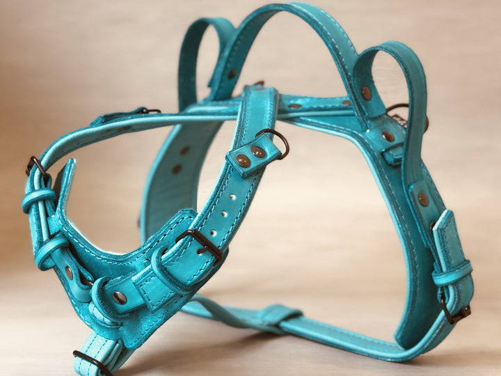 Yup service dog harness sales
